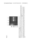 COMPOSITIONS AND METHODS FOR DETECTING COMPLEMENT ACTIVATION diagram and image