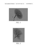 POLYMERS diagram and image