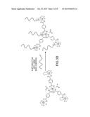Lanthanide Nanoparticle Conjugates and Uses Thereof diagram and image