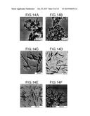 Lanthanide Nanoparticle Conjugates and Uses Thereof diagram and image