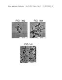 Lanthanide Nanoparticle Conjugates and Uses Thereof diagram and image