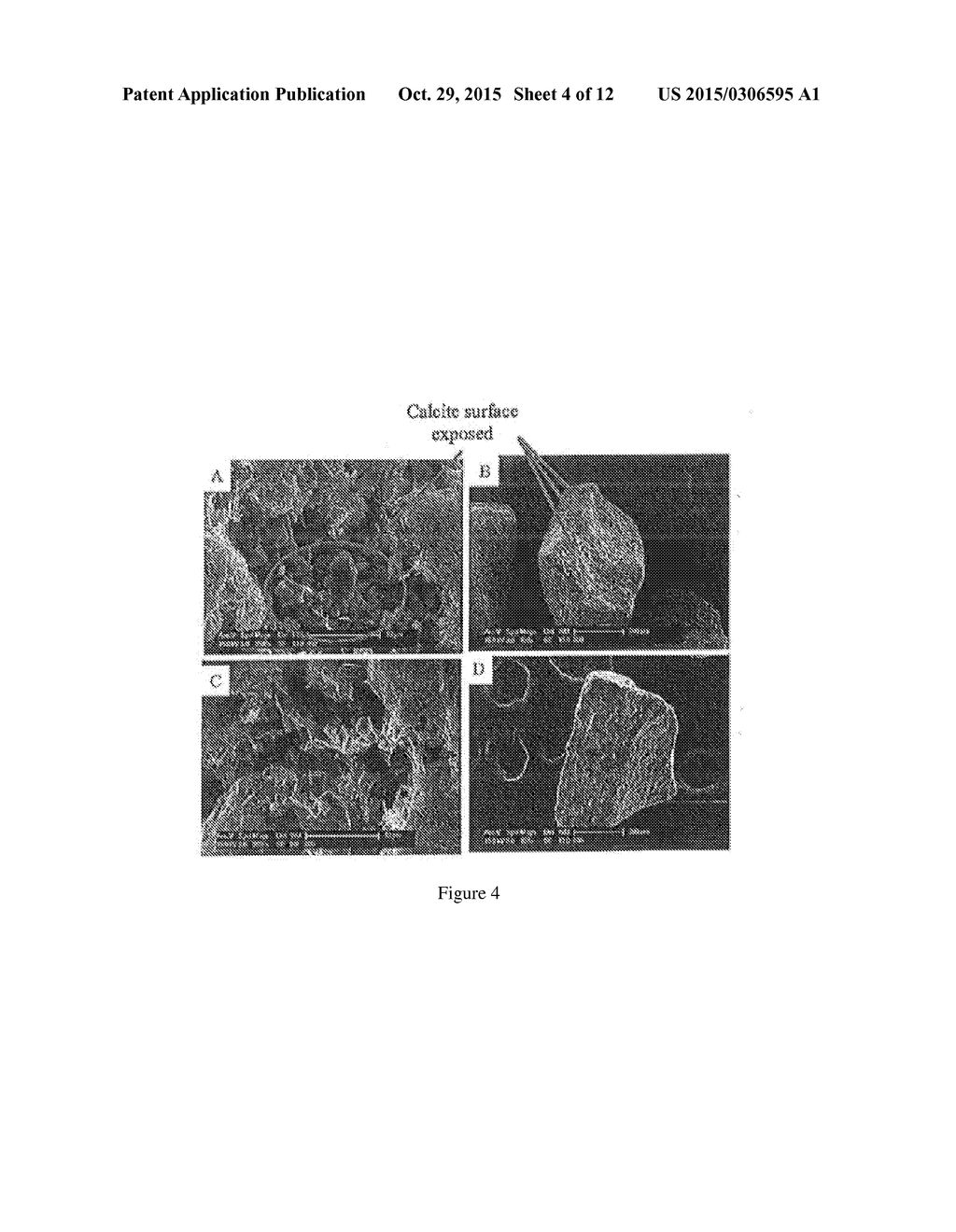 Nanoparticulate Apatite Coated Calcite/Limestone Filter Materials for     Removing Contaminants from Contaminated Water - diagram, schematic, and image 05