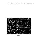 METHODS AND SYSTEMS FOR UTILIZING CARBIDE LIME OR SLAG diagram and image