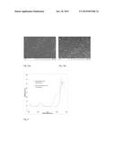 COLOURED TECHNICAL CERAMIC BODIES AND METHOD FOR PREPARING THE SAME diagram and image