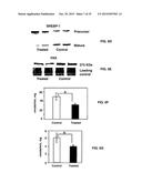 Compositions and Methods for the Treatment of Metabolic and Related     Disorders diagram and image