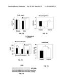 Compositions and Methods for the Treatment of Metabolic and Related     Disorders diagram and image