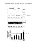 Compositions and Methods for the Treatment of Metabolic and Related     Disorders diagram and image