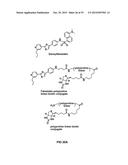 Compositions and Methods for the Treatment of Metabolic and Related     Disorders diagram and image