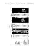 Methods and Compositions for Improved F-18 Labeling of Proteins, Peptides     and Other Molecules diagram and image