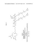 Methods and Compositions for Improved F-18 Labeling of Proteins, Peptides     and Other Molecules diagram and image