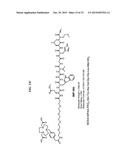 Methods and Compositions for Improved F-18 Labeling of Proteins, Peptides     and Other Molecules diagram and image