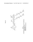 Methods and Compositions for Improved F-18 Labeling of Proteins, Peptides     and Other Molecules diagram and image