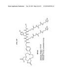 Methods and Compositions for Improved F-18 Labeling of Proteins, Peptides     and Other Molecules diagram and image