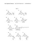 Methods and Compositions for Improved F-18 Labeling of Proteins, Peptides     and Other Molecules diagram and image