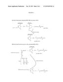 ADJUVANTING MATERIAL diagram and image