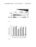 NOVEL D-ENANTIOMERIC PEPTIDES DERIVED FROM D3 AND USE THEREOF diagram and image