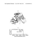 PEPTIDIC CHIMERIC ANTIGEN RECEPTOR T CELL SWITCHES AND USES THEREOF diagram and image