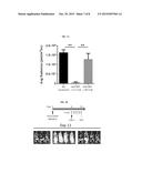 PEPTIDIC CHIMERIC ANTIGEN RECEPTOR T CELL SWITCHES AND USES THEREOF diagram and image