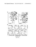 STRATEGY TO ENGINEER PHYTOCHROMES WITH IMPROVED ACTION IN CROP FIELDS diagram and image