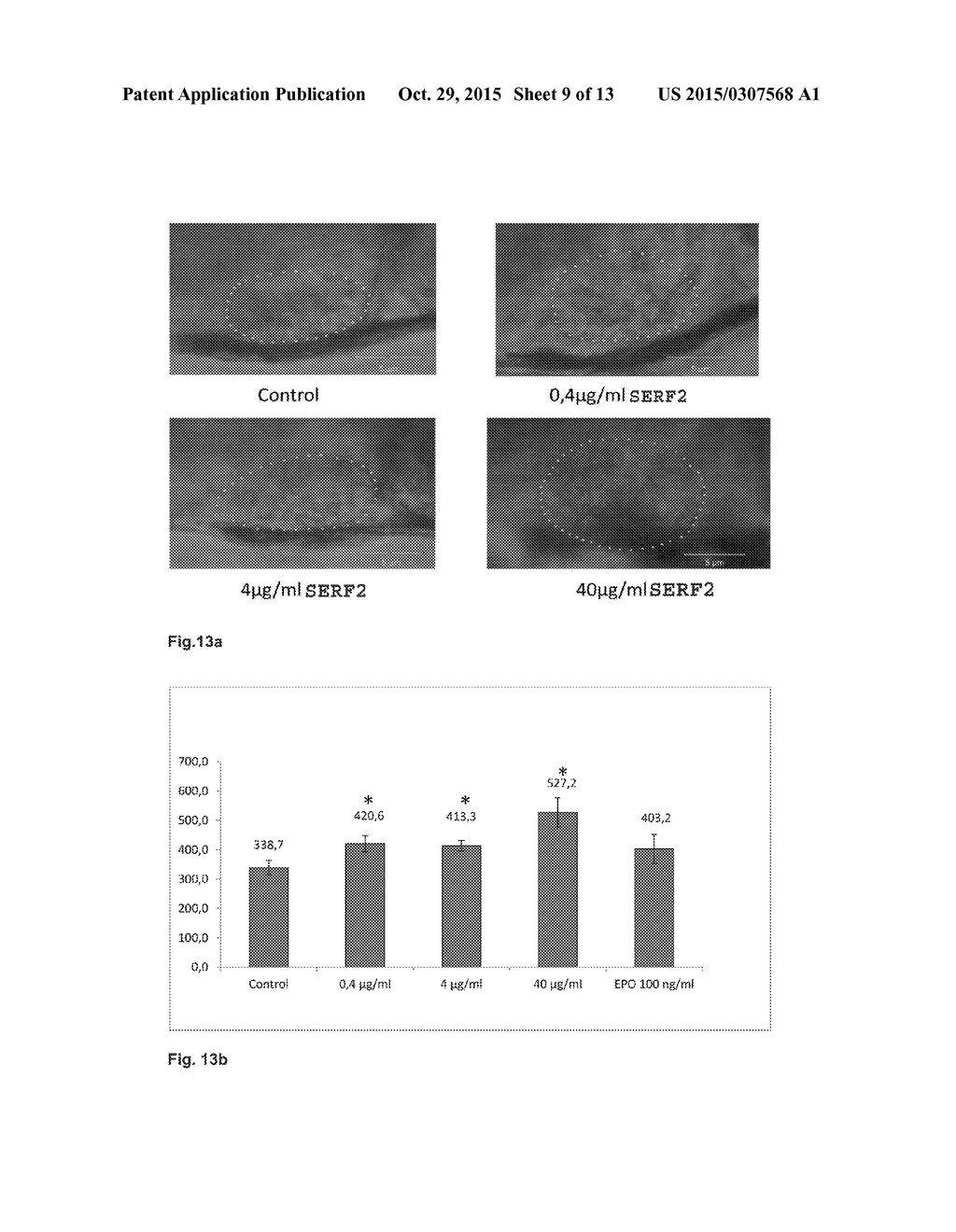 Medicament for atrophy treatment or increasing cell growth - diagram, schematic, and image 10