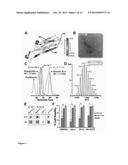 CYLINDRINS AS ETIOLOGIC AGENTS OF AMYLOID DISEASES diagram and image