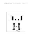 PEPTIDIC ANTAGONISTS OF CLASS III SEMAPHORINS/NEUROPILINS COMPLEXES diagram and image