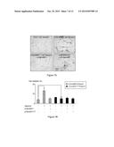 PEPTIDIC ANTAGONISTS OF CLASS III SEMAPHORINS/NEUROPILINS COMPLEXES diagram and image