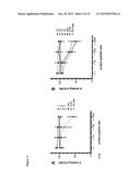 IMMUNOMODULATORY PEPTIDES AND METHODS OF USE THEREOF diagram and image