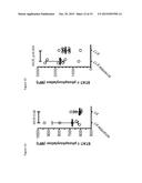 IMMUNOMODULATORY PEPTIDES AND METHODS OF USE THEREOF diagram and image