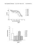 MIMETIC PEPTIDES DERIVED FROM COLLAGEN TYPE IV AND THEIR USE FOR TREATING     ANGIOGENESIS- AND LYMPHANGIOGENESIS- DEPENDENT DISEASES diagram and image