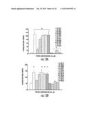 MIMETIC PEPTIDES DERIVED FROM COLLAGEN TYPE IV AND THEIR USE FOR TREATING     ANGIOGENESIS- AND LYMPHANGIOGENESIS- DEPENDENT DISEASES diagram and image