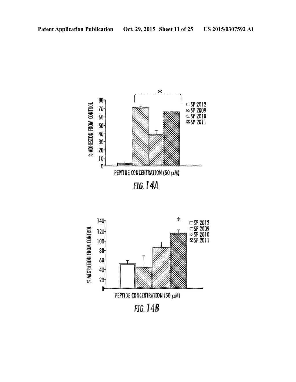 MIMETIC PEPTIDES DERIVED FROM COLLAGEN TYPE IV AND THEIR USE FOR TREATING     ANGIOGENESIS- AND LYMPHANGIOGENESIS- DEPENDENT DISEASES - diagram, schematic, and image 12