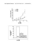 MIMETIC PEPTIDES DERIVED FROM COLLAGEN TYPE IV AND THEIR USE FOR TREATING     ANGIOGENESIS- AND LYMPHANGIOGENESIS- DEPENDENT DISEASES diagram and image