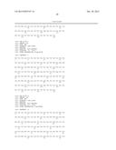 ANTI-CAMPYLOBACTER JEJUNI ANTIBODIES AND USES THEREFOR diagram and image