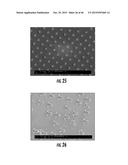 ISOLATED AND FIXED MICRO AND NANO STRUCTURES AND METHODS THEREOF diagram and image