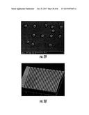 ISOLATED AND FIXED MICRO AND NANO STRUCTURES AND METHODS THEREOF diagram and image