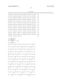 CELLOBIOSE DEHYDROGENASE diagram and image