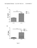 FLT3 RECEPTOR ANTAGONISTS FOR THE TREATMENT OR THE PREVENTION OF PAIN     DISORDERS diagram and image