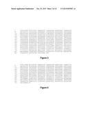 STRESS INDUCIBLE DERIVATIVE PROMOTER diagram and image