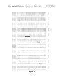 STRESS INDUCIBLE DERIVATIVE PROMOTER diagram and image