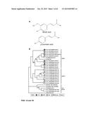 MODULATION OF EXPRESSION OF ACYLTRANSFERASES TO MODIFY HYDROXYCINNAMIC     ACID CONTENT diagram and image