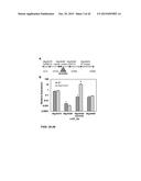 MODULATION OF EXPRESSION OF ACYLTRANSFERASES TO MODIFY HYDROXYCINNAMIC     ACID CONTENT diagram and image