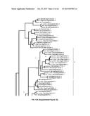 MODULATION OF EXPRESSION OF ACYLTRANSFERASES TO MODIFY HYDROXYCINNAMIC     ACID CONTENT diagram and image