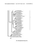 MODULATION OF EXPRESSION OF ACYLTRANSFERASES TO MODIFY HYDROXYCINNAMIC     ACID CONTENT diagram and image