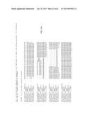 MODULATION OF EXPRESSION OF ACYLTRANSFERASES TO MODIFY HYDROXYCINNAMIC     ACID CONTENT diagram and image