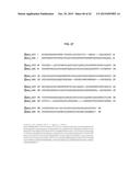 MODULATION OF EXPRESSION OF ACYLTRANSFERASES TO MODIFY HYDROXYCINNAMIC     ACID CONTENT diagram and image