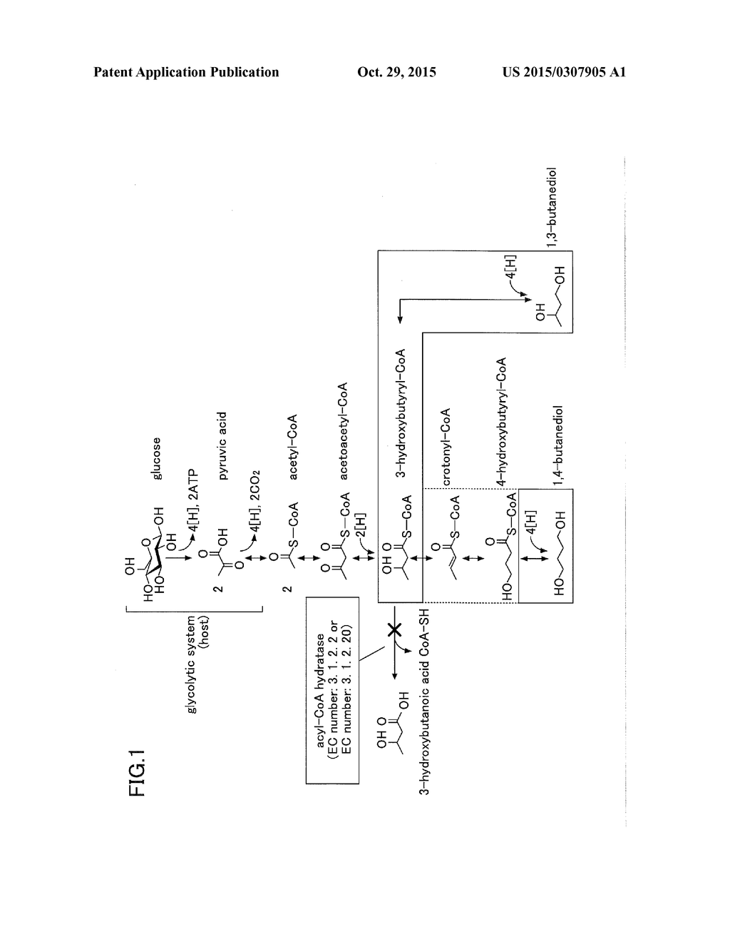 MANUFACTURING METHOD FOR A BUTANEDIOL, FABRICATION METHOD FOR A MICROBE     FOR MANUFACTURING A BUTANEDIOL, AND MICROBE - diagram, schematic, and image 02