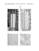 METHODS AND DEVICES FOR PRODUCING BIOMOLECULES diagram and image