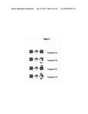 DETECTION OF OLIGOSACCHARIDES diagram and image