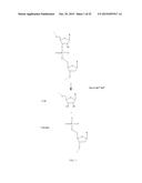 RNASE H-BASED ASSAYS UTILIZING MODIFIED RNA MONOMERS diagram and image